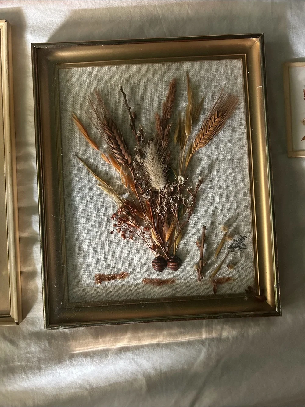 Vintage Framed Dried Floral Wall Art Collqge